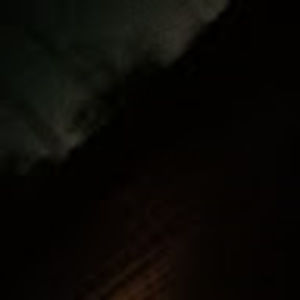 Meet your Posher, Gene